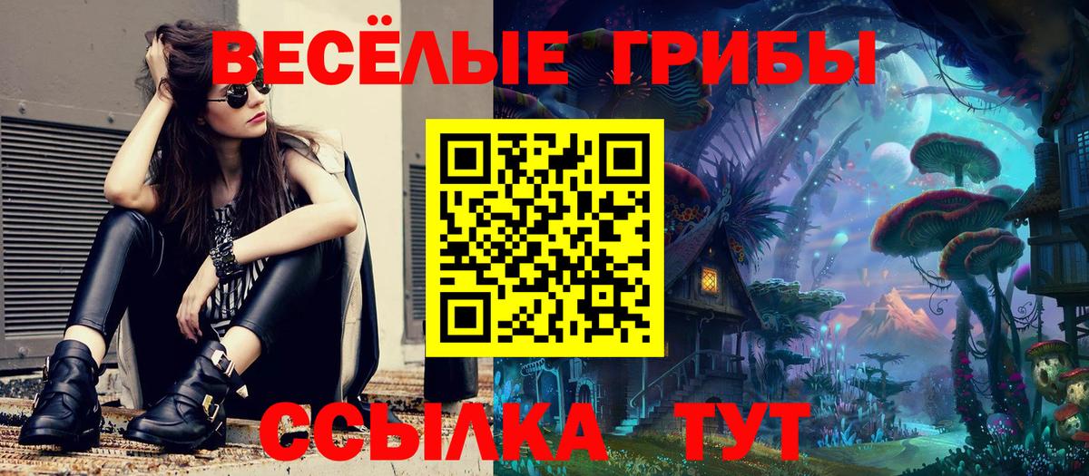Псилоцибиновые грибы Psilocybine cubensis  Вход с VPN  что такое наркотик  Троицк 
